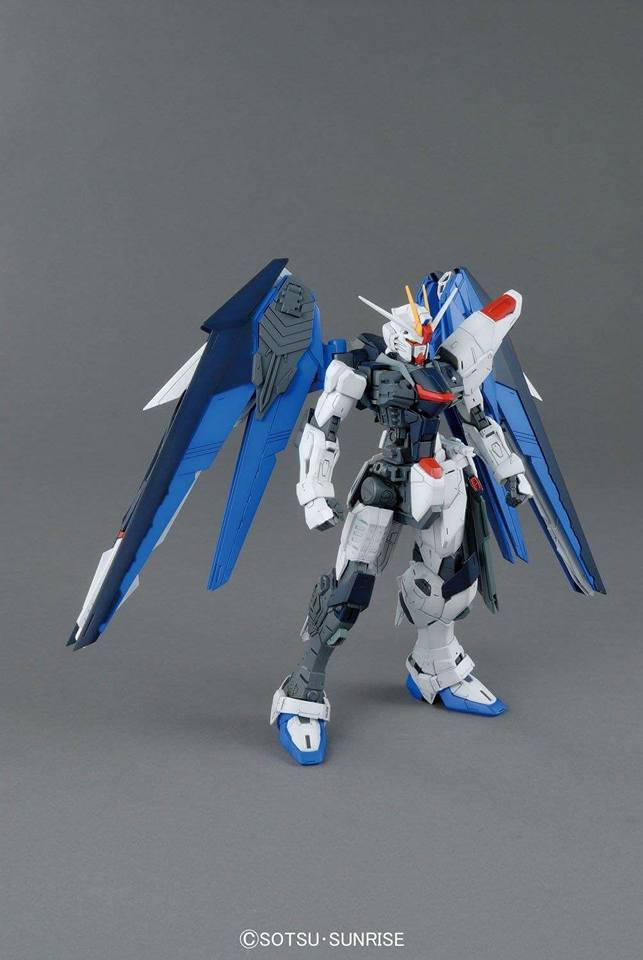 MG Freedom Gundam Ver. 2.0 1/100 - Image 3
