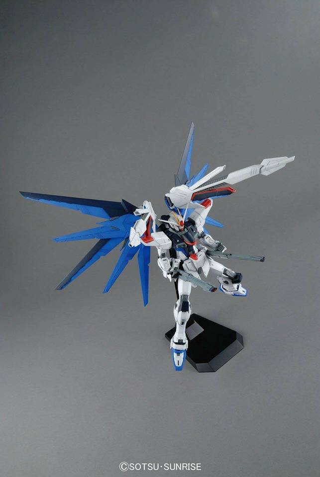 MG Freedom Gundam Ver. 2.0 1/100 - Image 4