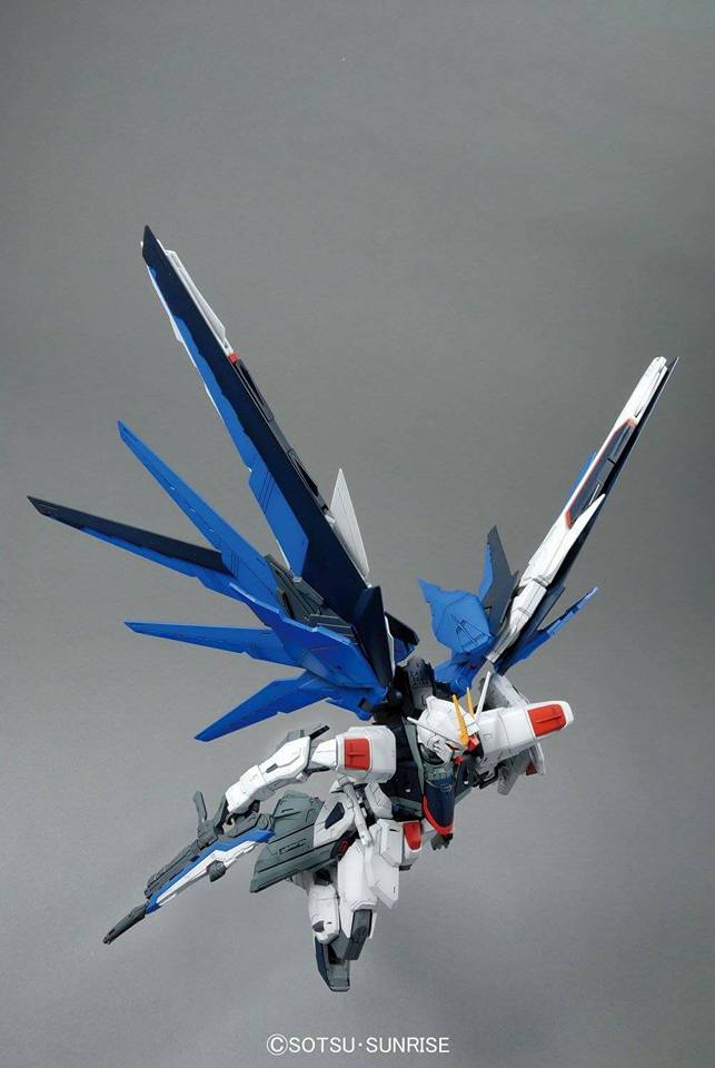 MG Freedom Gundam Ver. 2.0 1/100 - Image 6