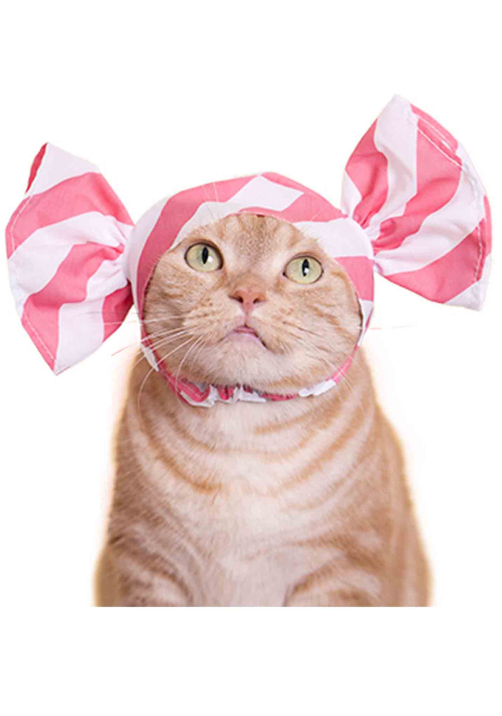 Cat Cap Blind Box (Candy) - Image 2