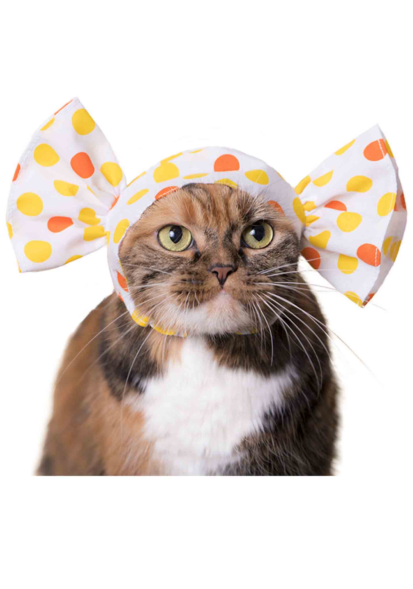 Cat Cap Blind Box (Candy) - Image 6