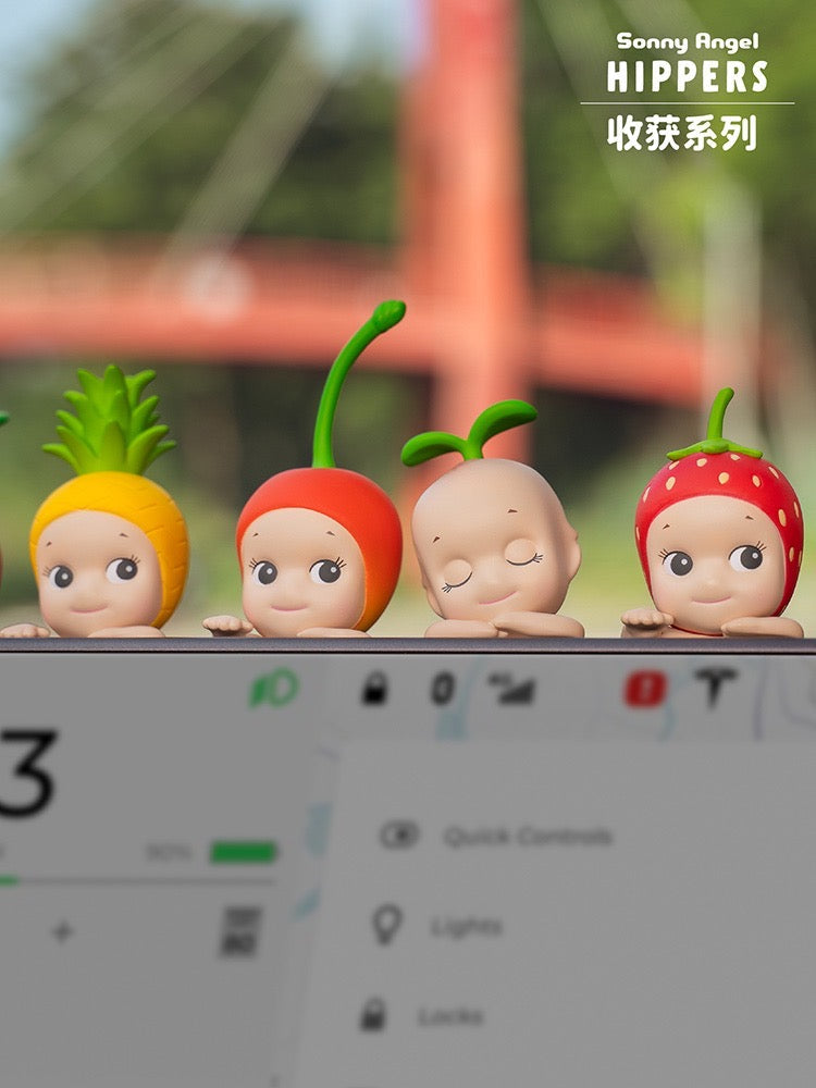 [SONNY ANGEL] Sonny Angel HIPPERS Harvest Series Blind Box - Image 2